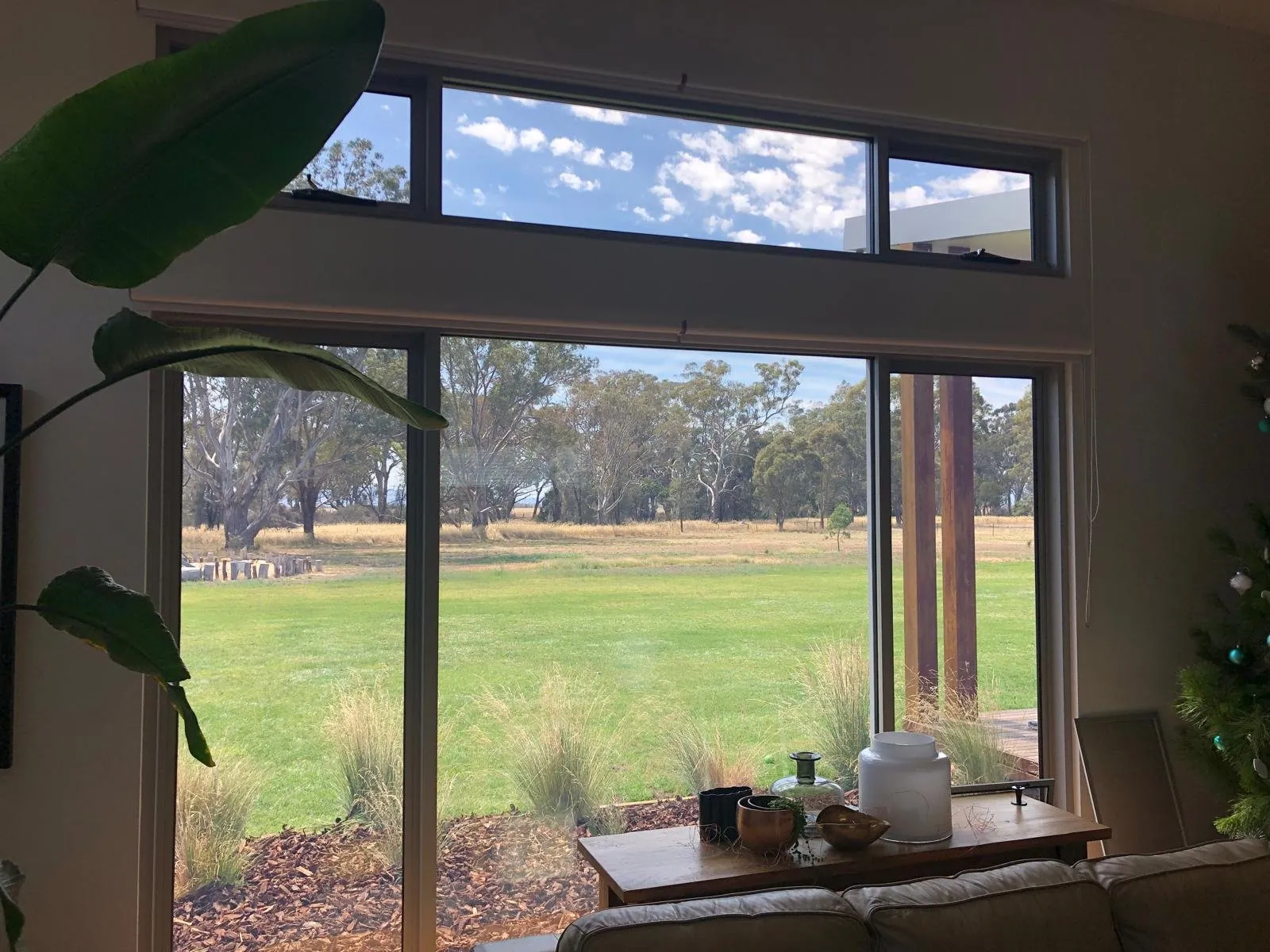 Freshly cleaned lounge room windows looking out to the garden